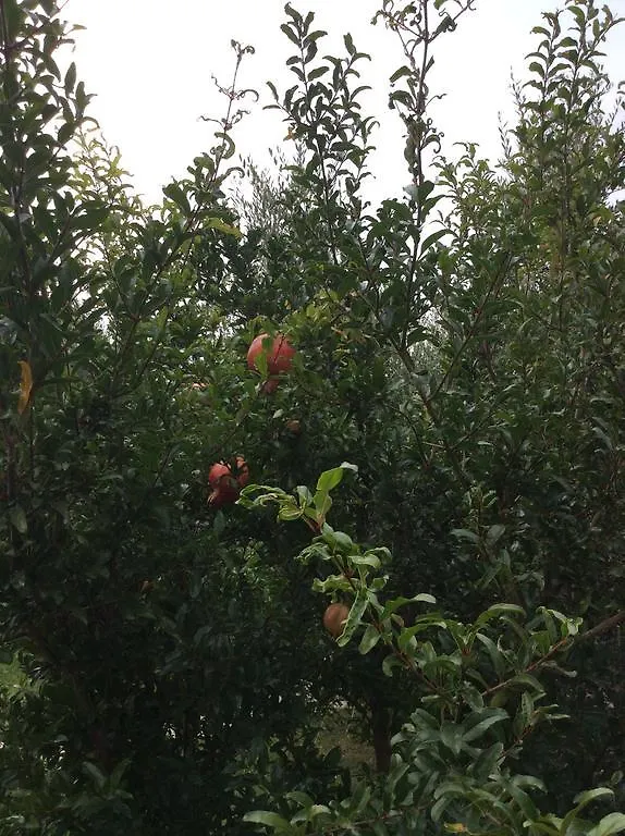 Gospodarstwo wiejskie Locanda Dei Rii Manerba del Garda